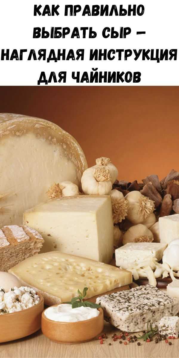 Рецепт плавленный сыр из творога. калорийность, химический состав и пищевая ценность.