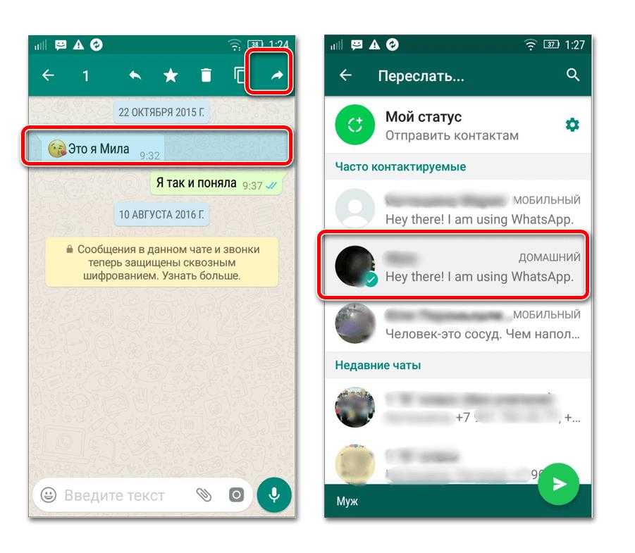 Как отправить длинное видео в whatsapp полностью: способы