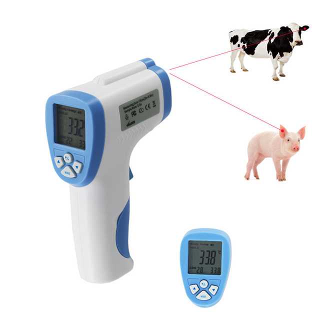 Нормальная температура у собак — отчего зависит, как измерить, какая температура у собак должна быть в норме