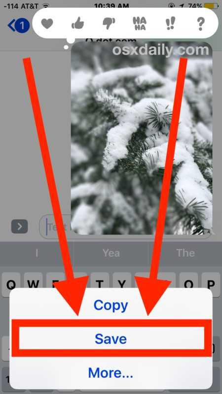 Как на iphone и ipad копировать, вырезать и вставлять текст, фото и ссылки: все способы  | яблык