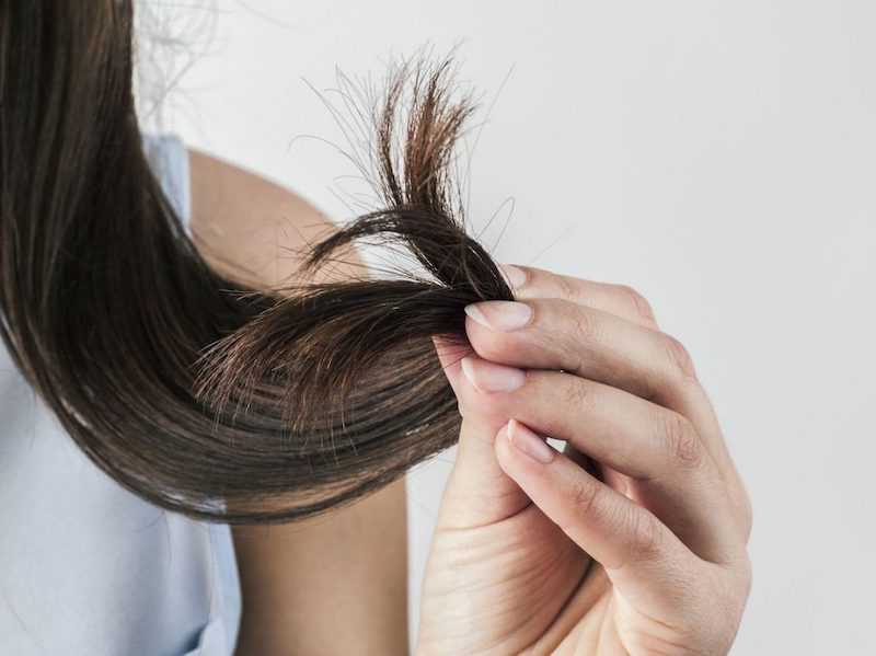 Как красиво подстричь кончики волос: технологии и советы специалистов | quclub.ru