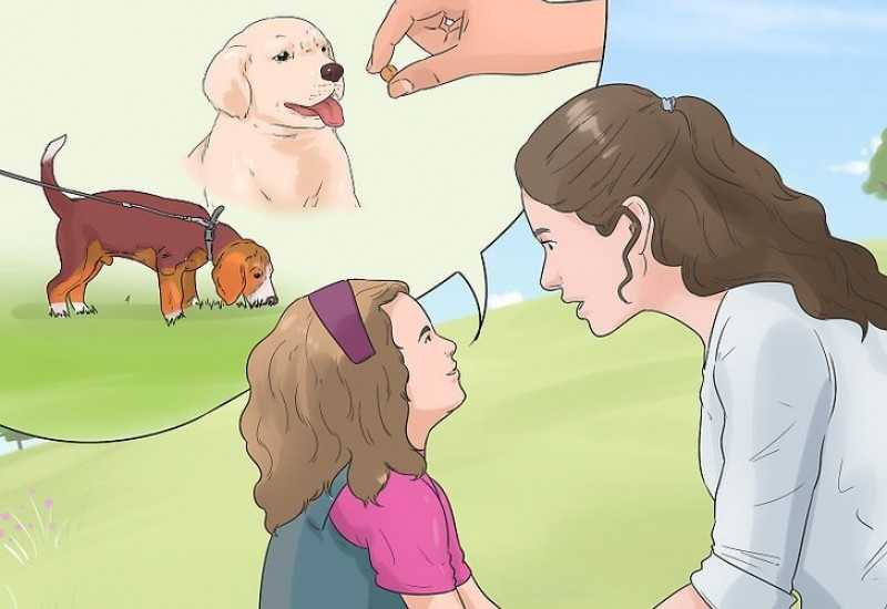 Как уговорить маму оставить щенка? 3 совета психологов, консультации