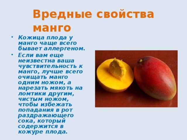 Как есть правильно фрукт манго, как чистить, польза и вред для организма