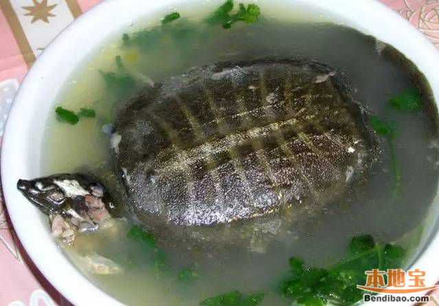 Как приготовить суп из черпахи - очень просто