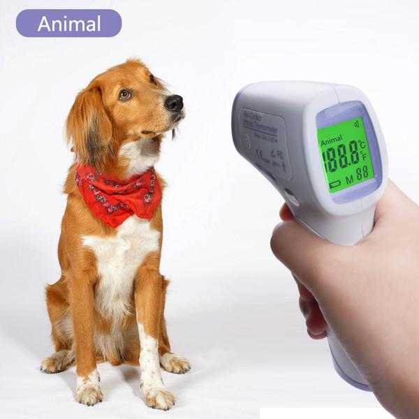 Можно ли измерить температуру собаке инфракрасным градусником. норма и ее варианты