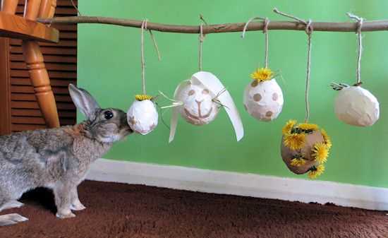 Игрушки для кроликов: основные виды, какие лучше выбрать, как сделать своими руками