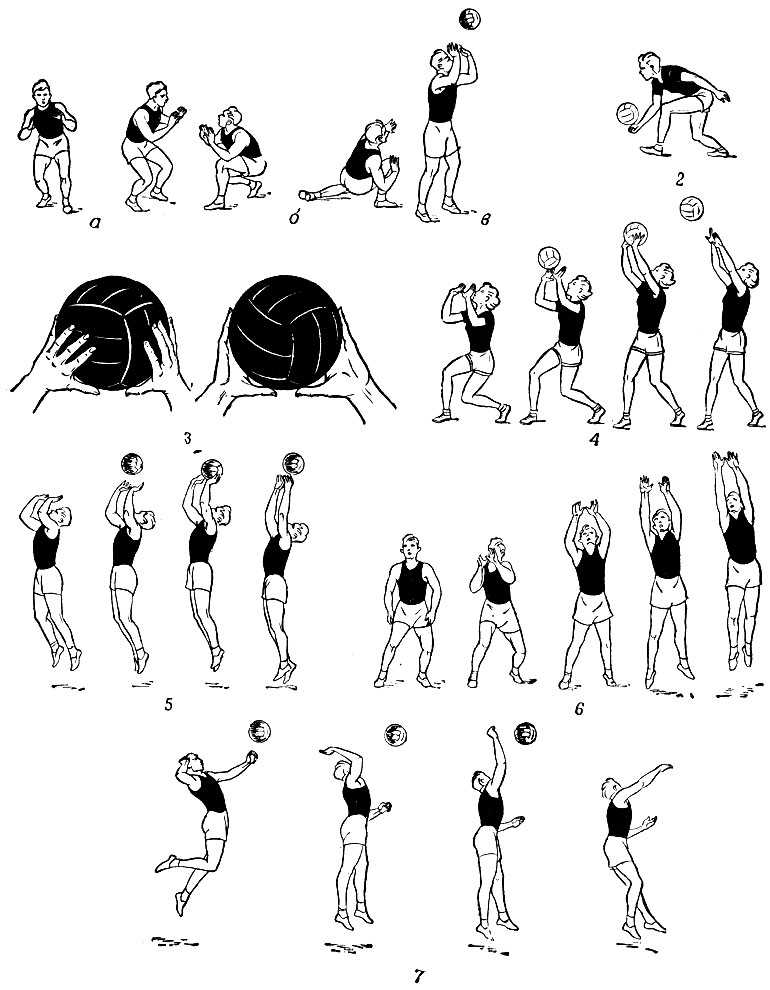 Как стать волейбольным тренером (с иллюстрациями)