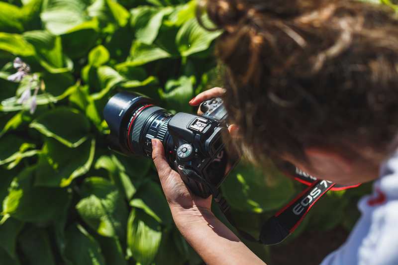 Как стать фотографом - пошаговая инструкция | sun inside photo&video