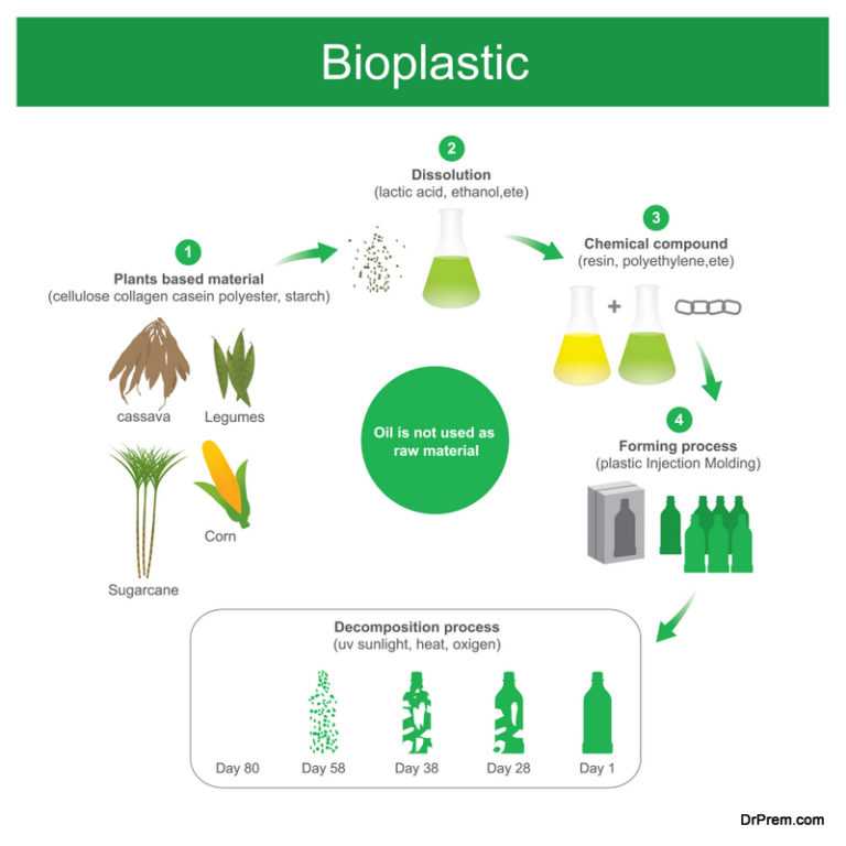 Биопластики – разумная альтернатива современным полимерам