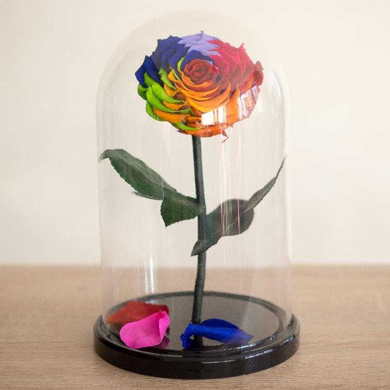 Радужные розы — как делать цветы с разноцветными лепестками