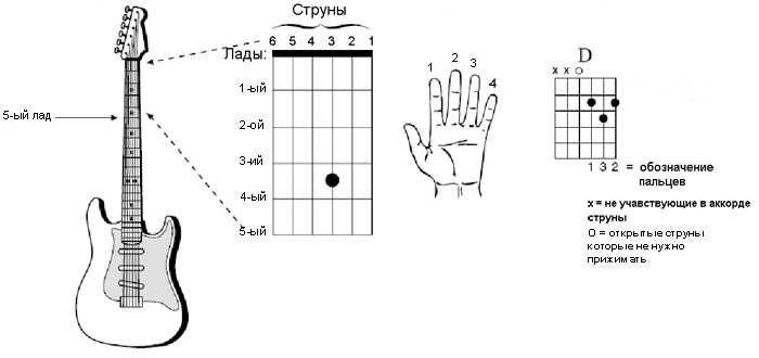 Основные аккорды для начинающих гитаристов: 6 струнная гитара