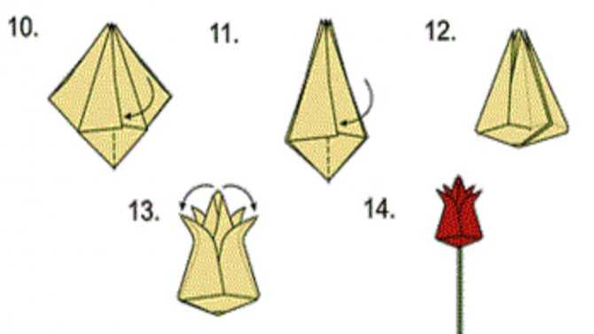 Поделка тюльпаны своими руками пошагово: 120 фото, простые идеи создания из бумаги, ложек, картона и фетра (инструкция с описанием)