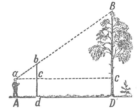 Как измерить высоту объекта:ликбез от дилетанта estimata