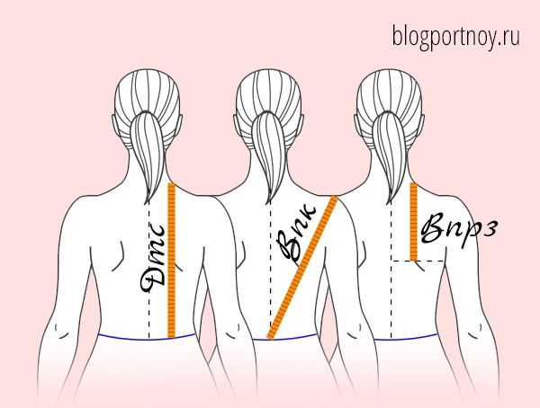 Как правильно снять мерки с женской фигуры? как правильно измерить ширину спины, плеч, глубину проймы рукава, полуобхват и обхват талии, плеча, груди, шеи, руки, бедер, колена, голени, щиколотки, длин
