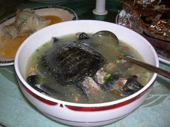 Классический суп из черепах