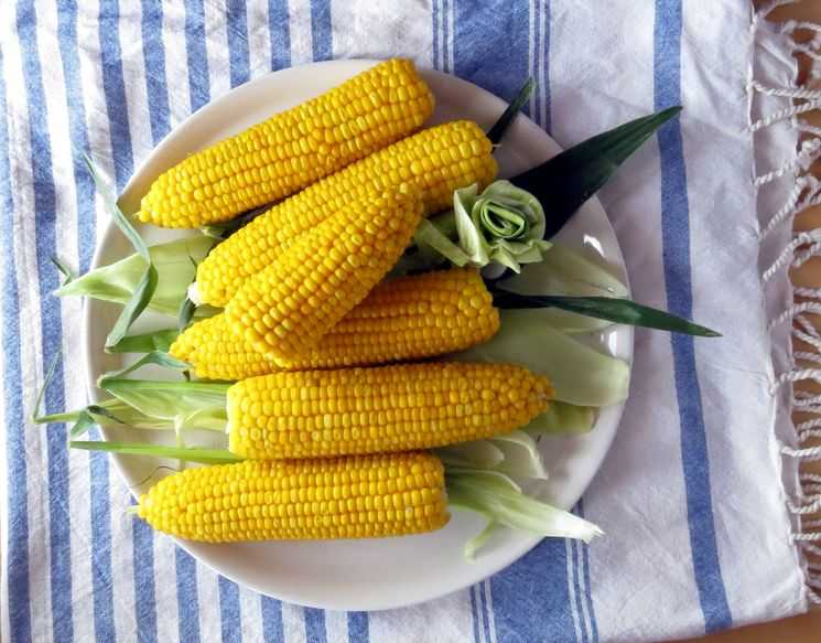 Как приготовить кукурузу