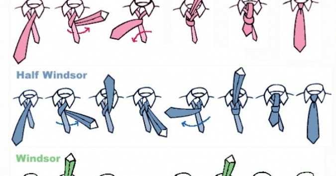 Узел виндзор для галстука: ? как завязать, пошаговая схема