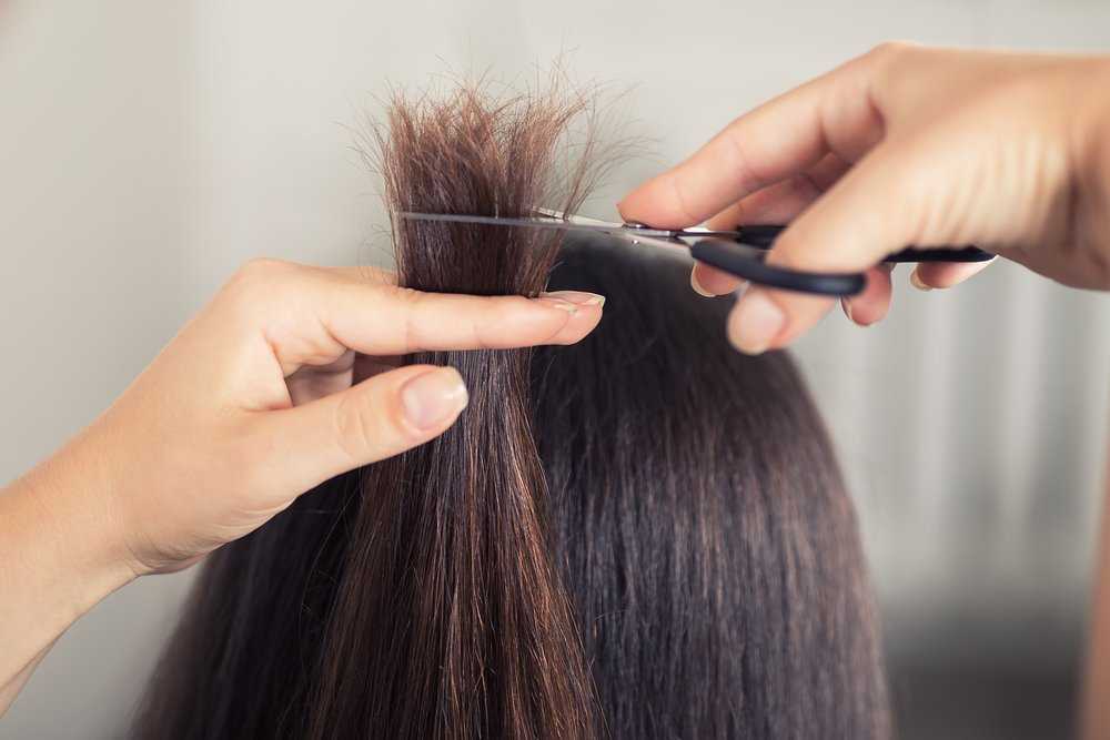 Как подстричь кончики волос в домашних условиях: технология стрижки и советы профессионалов - szpilka.ru