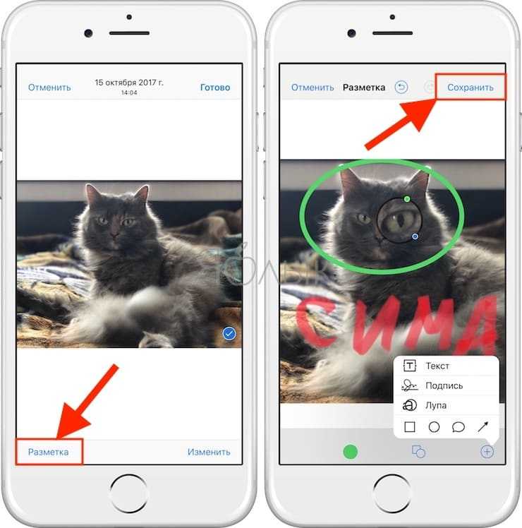 Как редактировать, добавлять эффекты и текст на фото / видео в imessage на iphone и ipad  | яблык