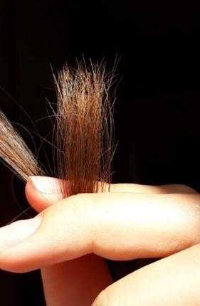 Лечение и восстановление кончиков волос