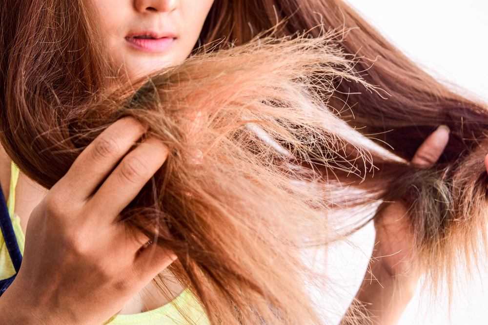 Старение волос: геронтобиология волосяного фолликула