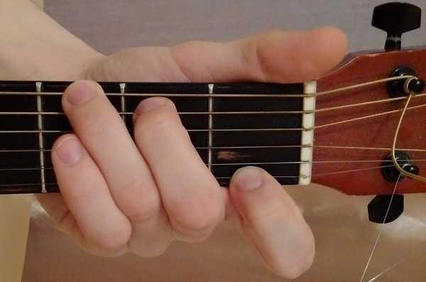 Как выучить аккорды на гитаре с нуля: быстро для начинающих