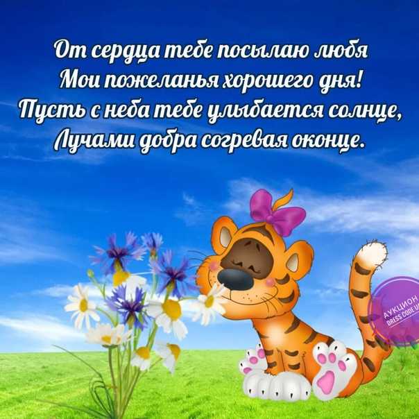 Пожелание хорошего дня и настроения своими словами | redzhina.ru