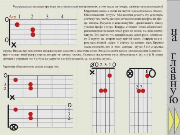 Как научиться играть на гитаре с нуля за 14 дней: пошаговая инструкция для начинающих | с чего начать обучение