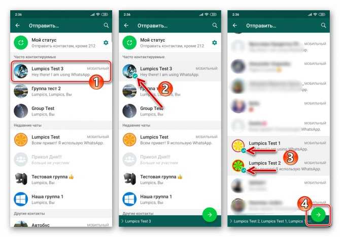 Как отправить gif в whatsapp пользователю и в групповой чат