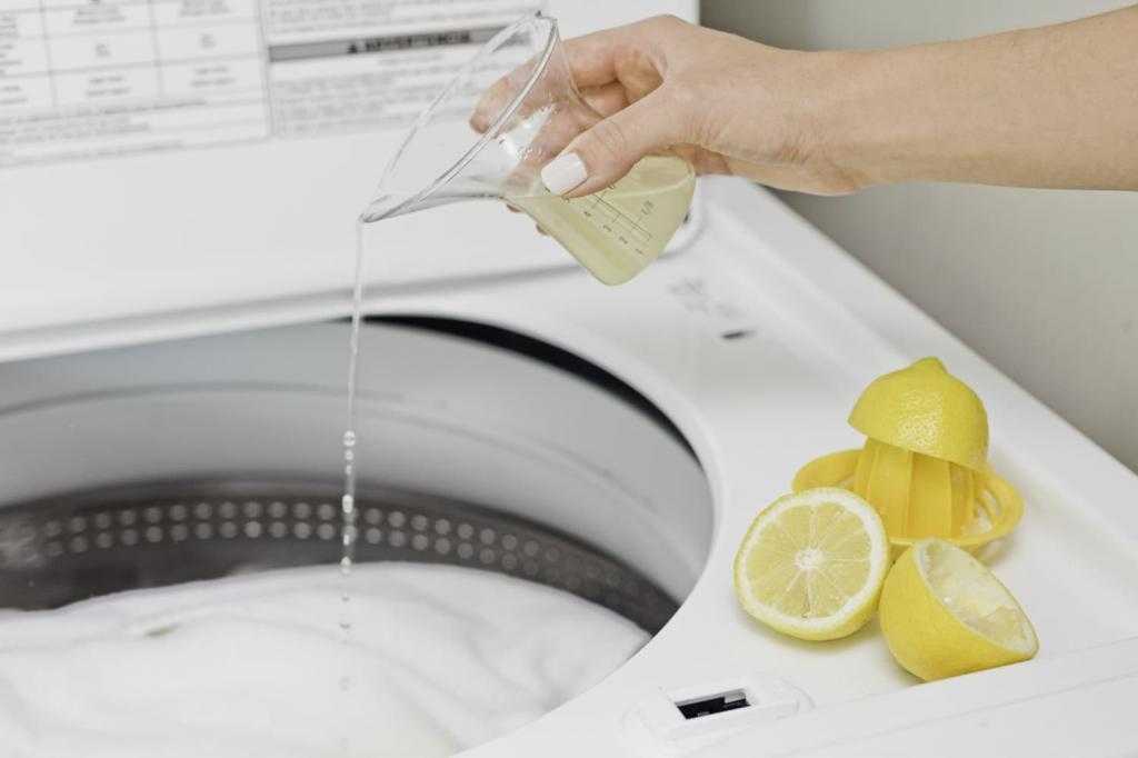 Чистка посудомоечной машины за 7 шагов (фото)