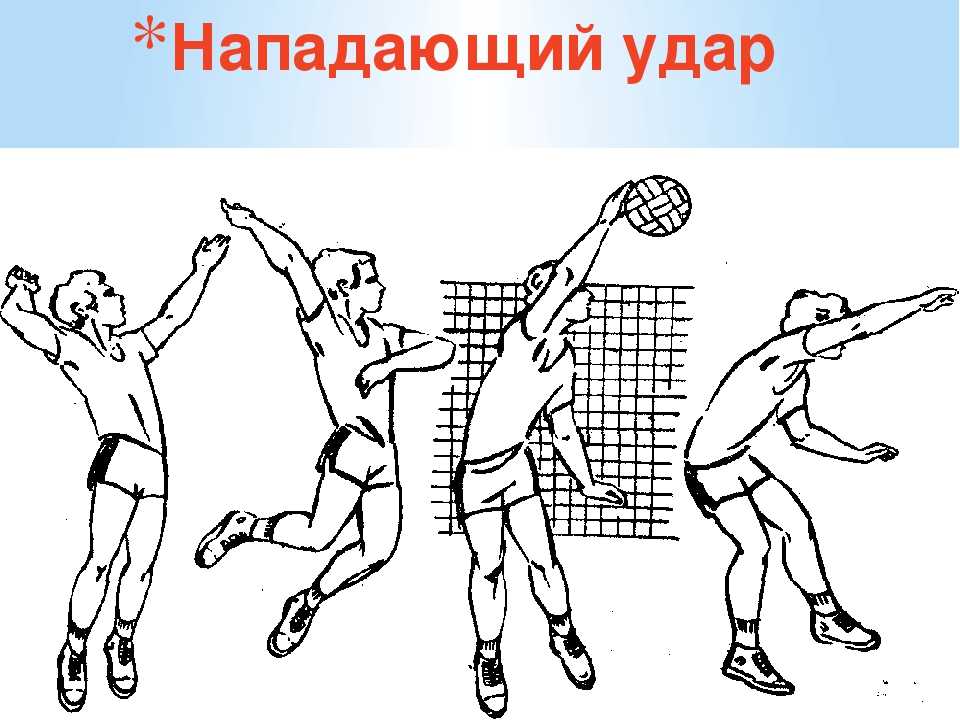 Как начинающему научиться правильно играть в волейбол