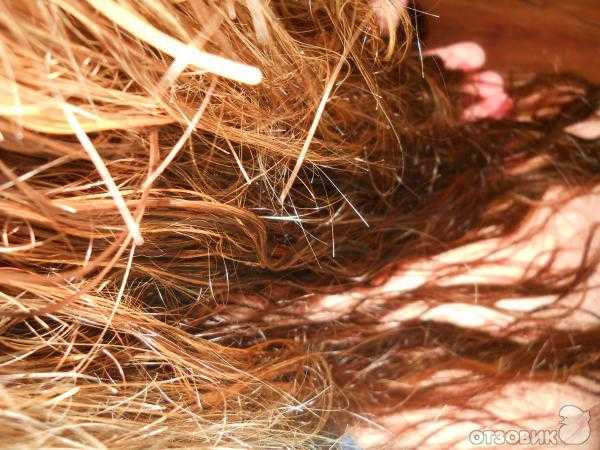 Путаются волосы – причины. как избавиться от этой проблемы
