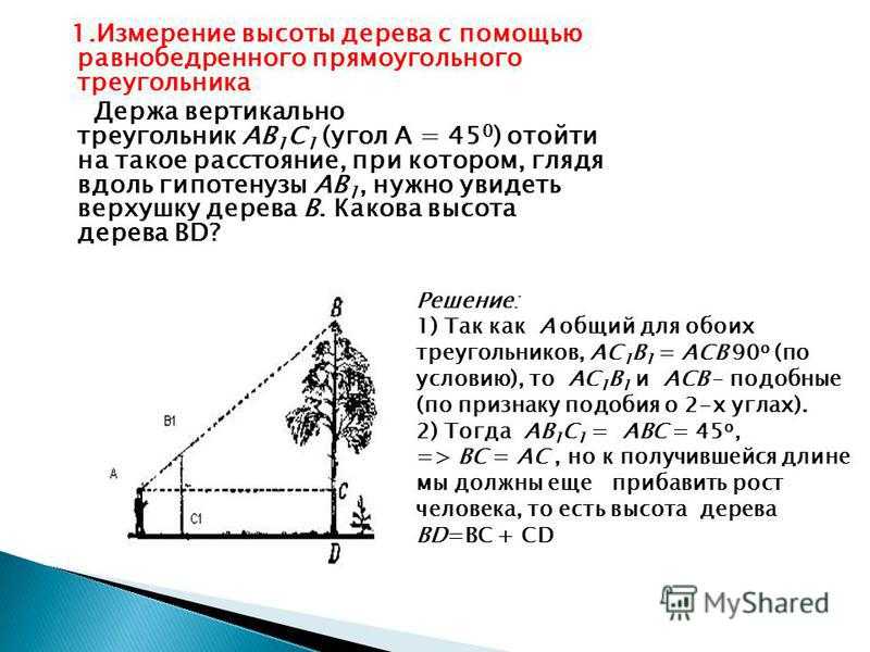 Как можно измерить в солнечный день высоту дома или дерева? - отвечаем на юридические вопросы простым языком