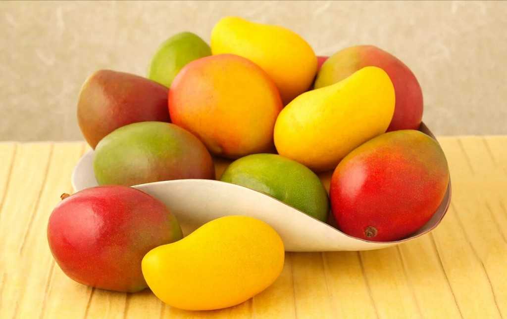 Манго фрукт — польза и вред, как кушать