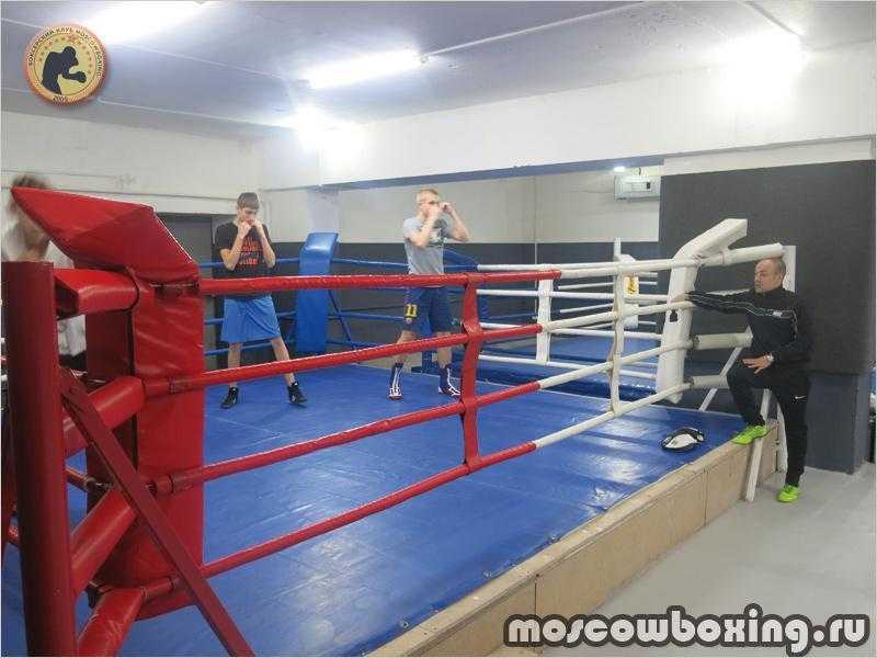 Как стать боксером | про профессии.ру