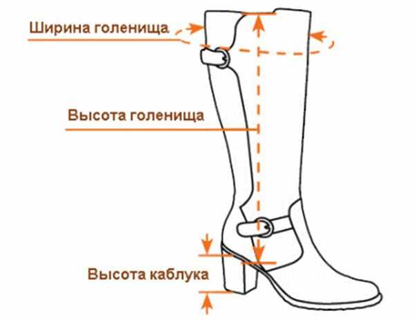 Как определить ширину голенища у сапог: замеры голенища и соответствие размеру обуви