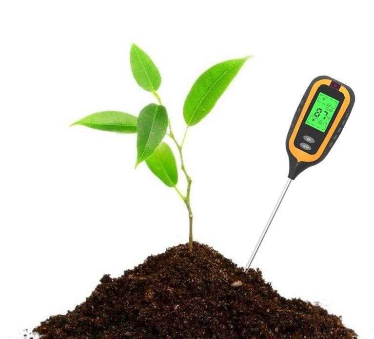 Как определить кислотность почвы самостоятельно? обзор!