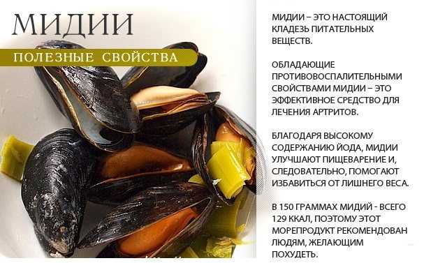 Как правильно есть устрицы: рецепты лучших моллюсков