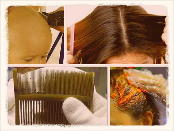 Как сделать волосы мягкими, блестящими и шелковистыми в домашних условиях?