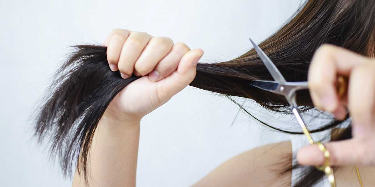 Стрижка концов машинкой: самые простые и эффективные способы борьбы с секущимися кончиками волос в домашних условиях