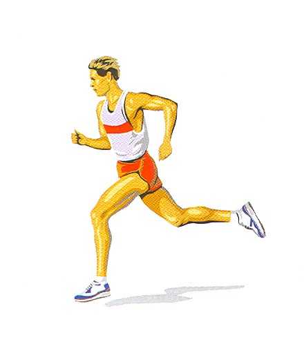 16 полезных аксессуаров для бега, которые сделают ваши тренировки комфортнее