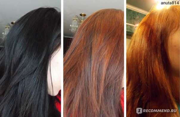 Как убрать с волос зеленый оттенок после окрашивания? смывка краски с волос - janet.ru