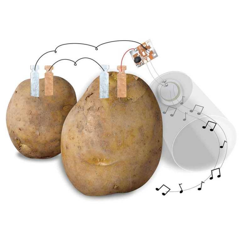 Как сделать картофельный аккумулятор - наука - 2021