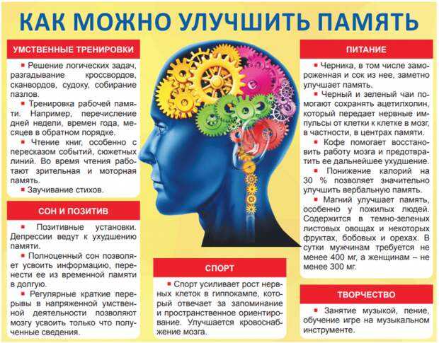 Как стать гением: 9 документалок о мозге, интуиции и логике - citydog.by | журнал о минске