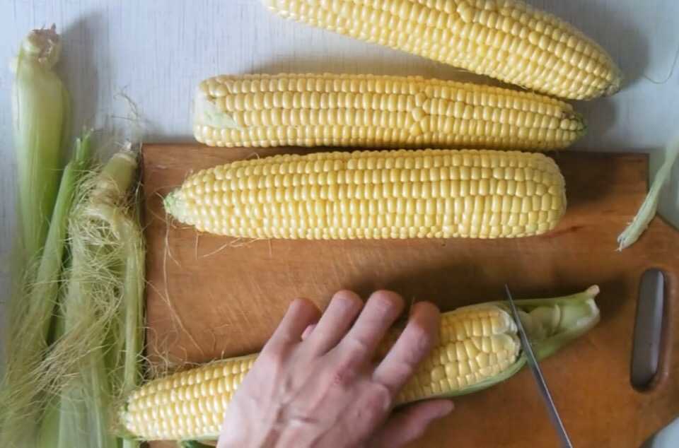 Что приготовить с молодой кукурузой: топ-10 необычных рецептов
