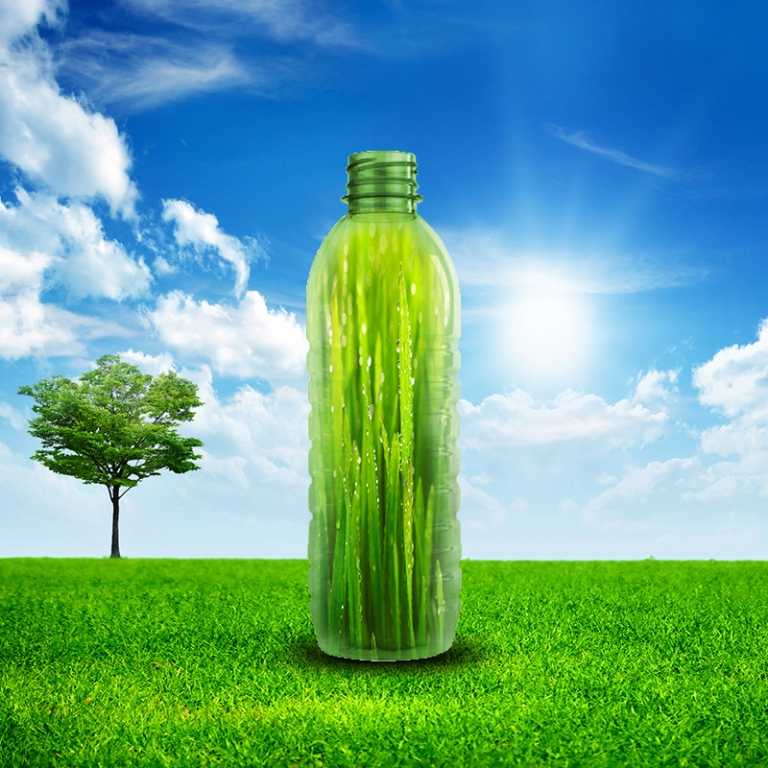 Биоразлагаемый пластик: варианты производства, сферы применения
