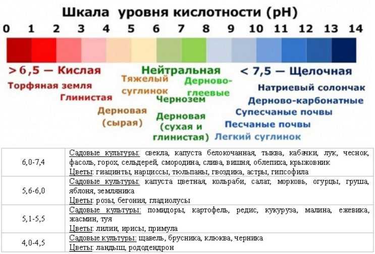 Ph воды: что это, измерить (проверить, определить) в домашних условиях, как понизить в аквариуме высокий уровень пш, как повысить, кислотность, тесты - kotiko.ru