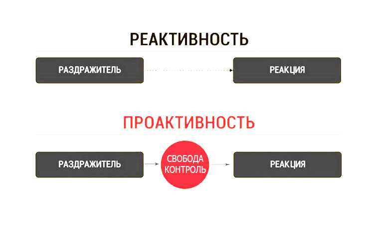 Проактивность – личностное качество, ведущее у успеху – impulsion.ru