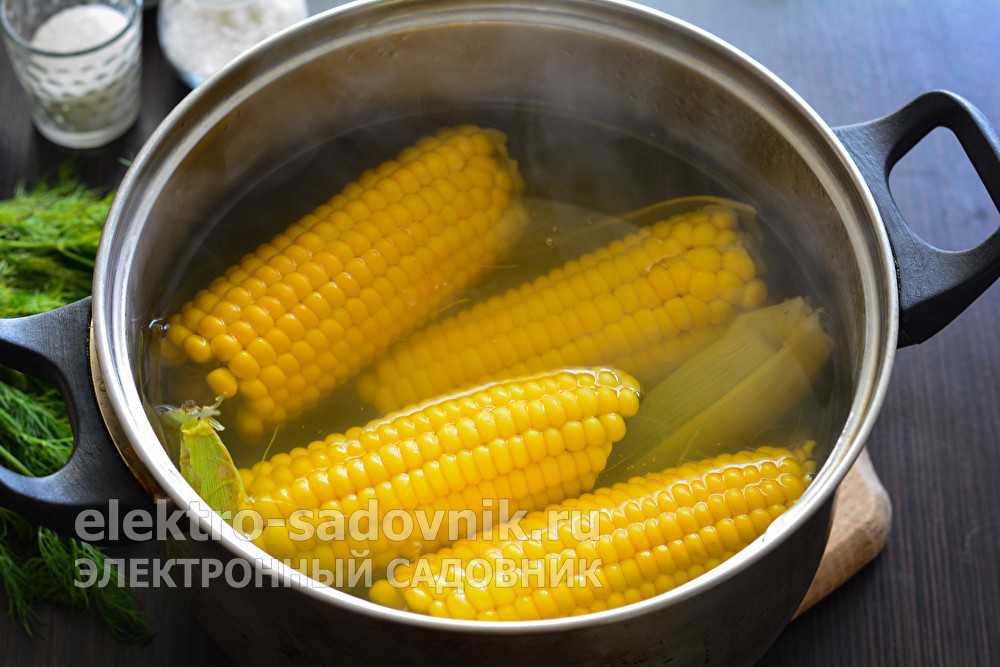 Сколько варить зрелую кукурузу: рецепты как приготовить переспевший злак, чтобы он был мягким и сочным selo.guru — интернет портал о сельском хозяйстве