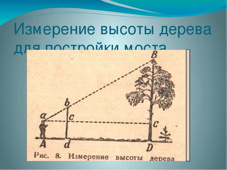 Как можно измерить в солнечный день высоту дома или дерева?